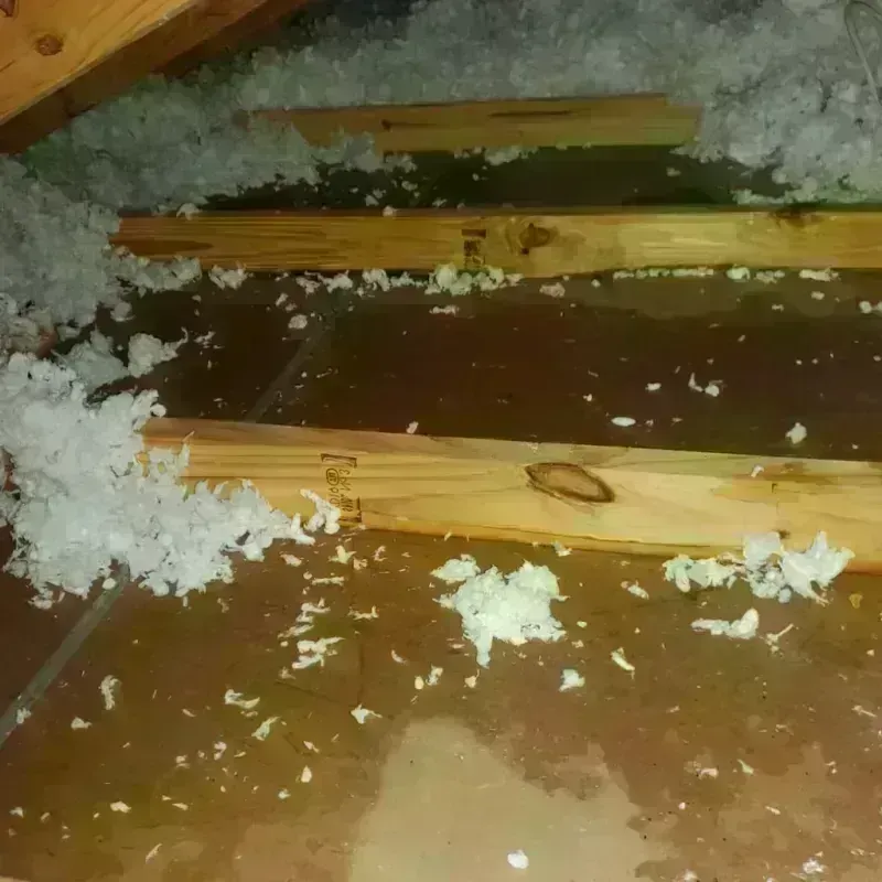 Attic Water Damage in Flat Rock, NC